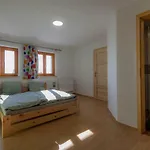 Vcelarstvi Pod Svatym Florianem Apartment *
