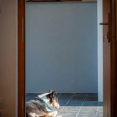 Včelařství Pod Svatým Floriánem Apartamento Znojmo