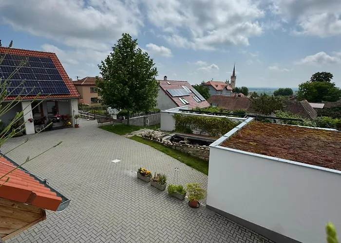 Vcelarstvi Pod Svatym Florianem Апартаменты